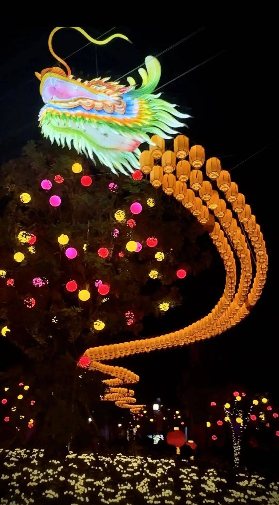 收下这份游玩指南