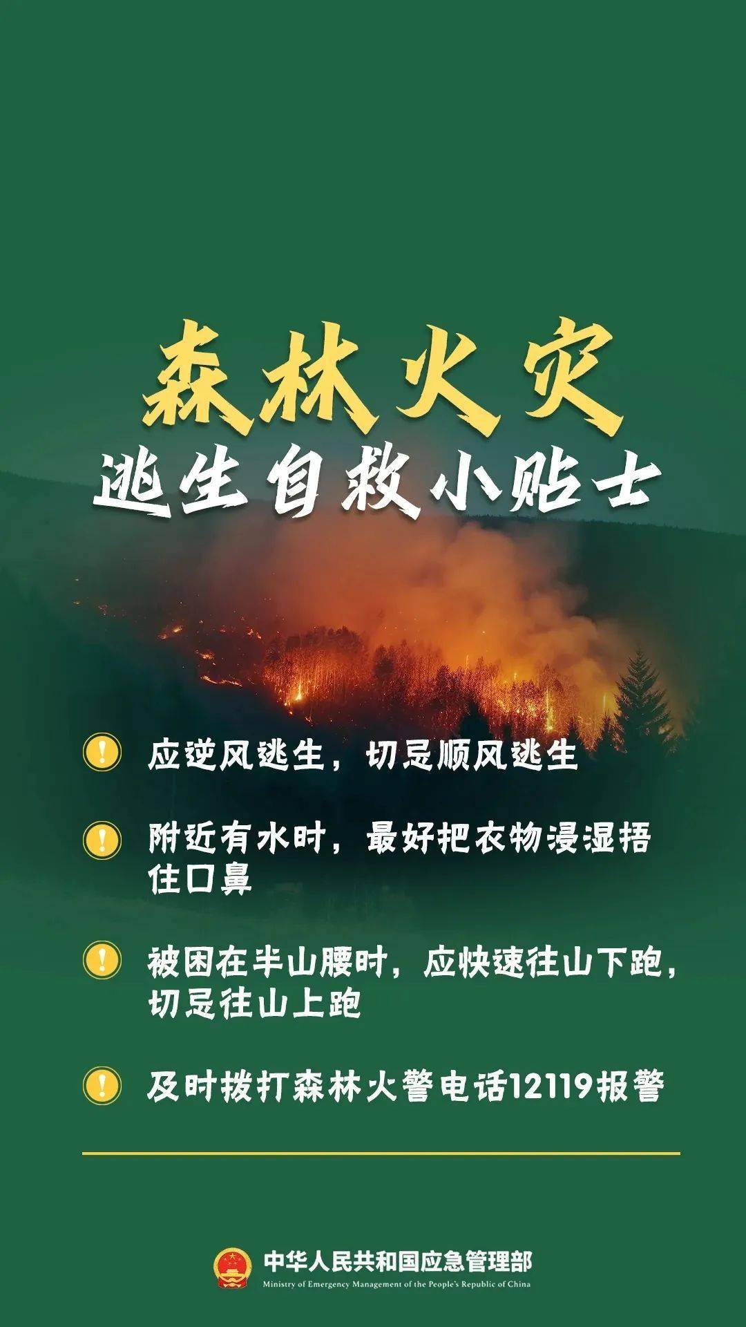 森林防火牢记"十不准"_火灾_影响_微信