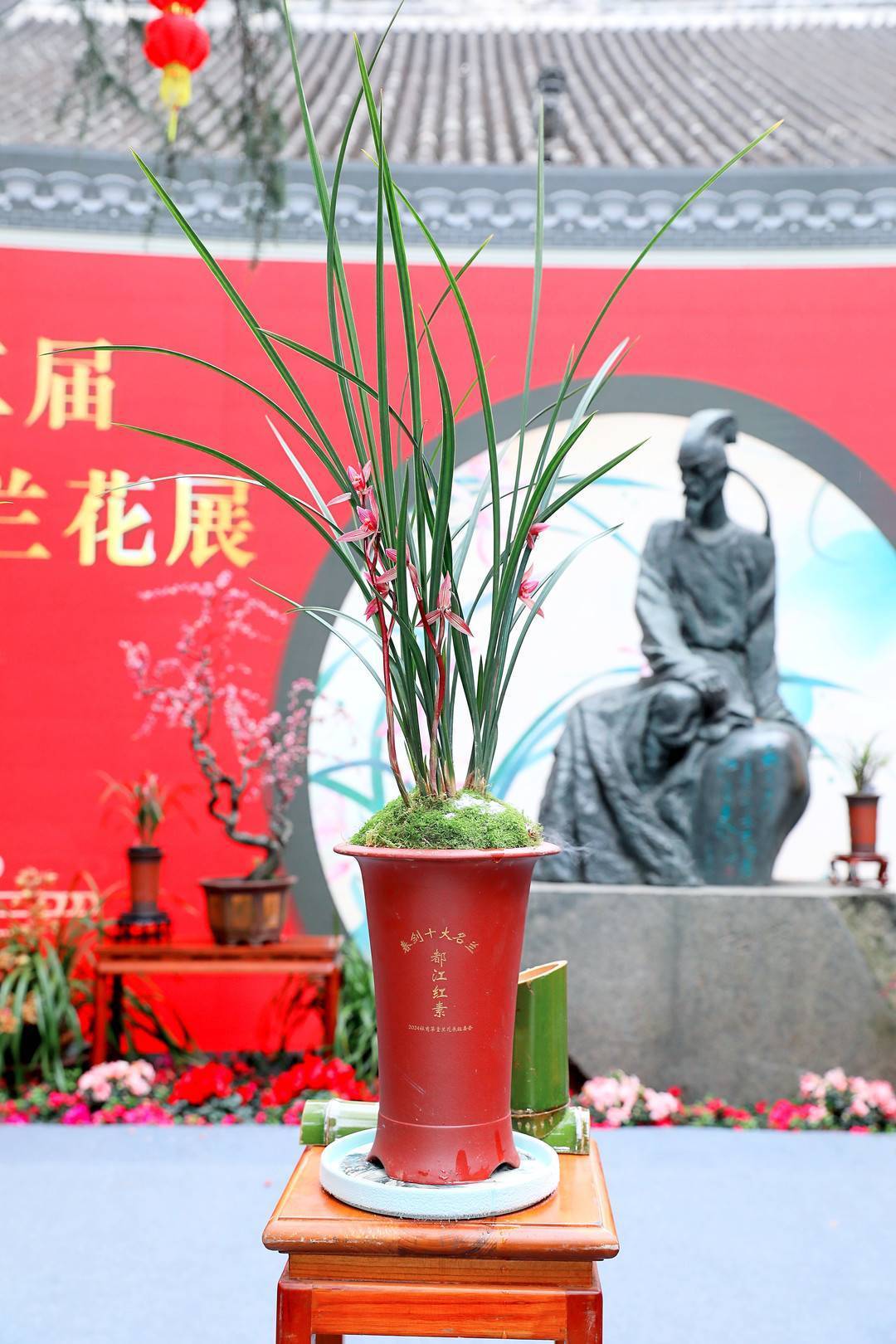 玉海棠,学林荷,桃园三结义……"春剑十大名兰"首次亮相杜甫草堂_兰花