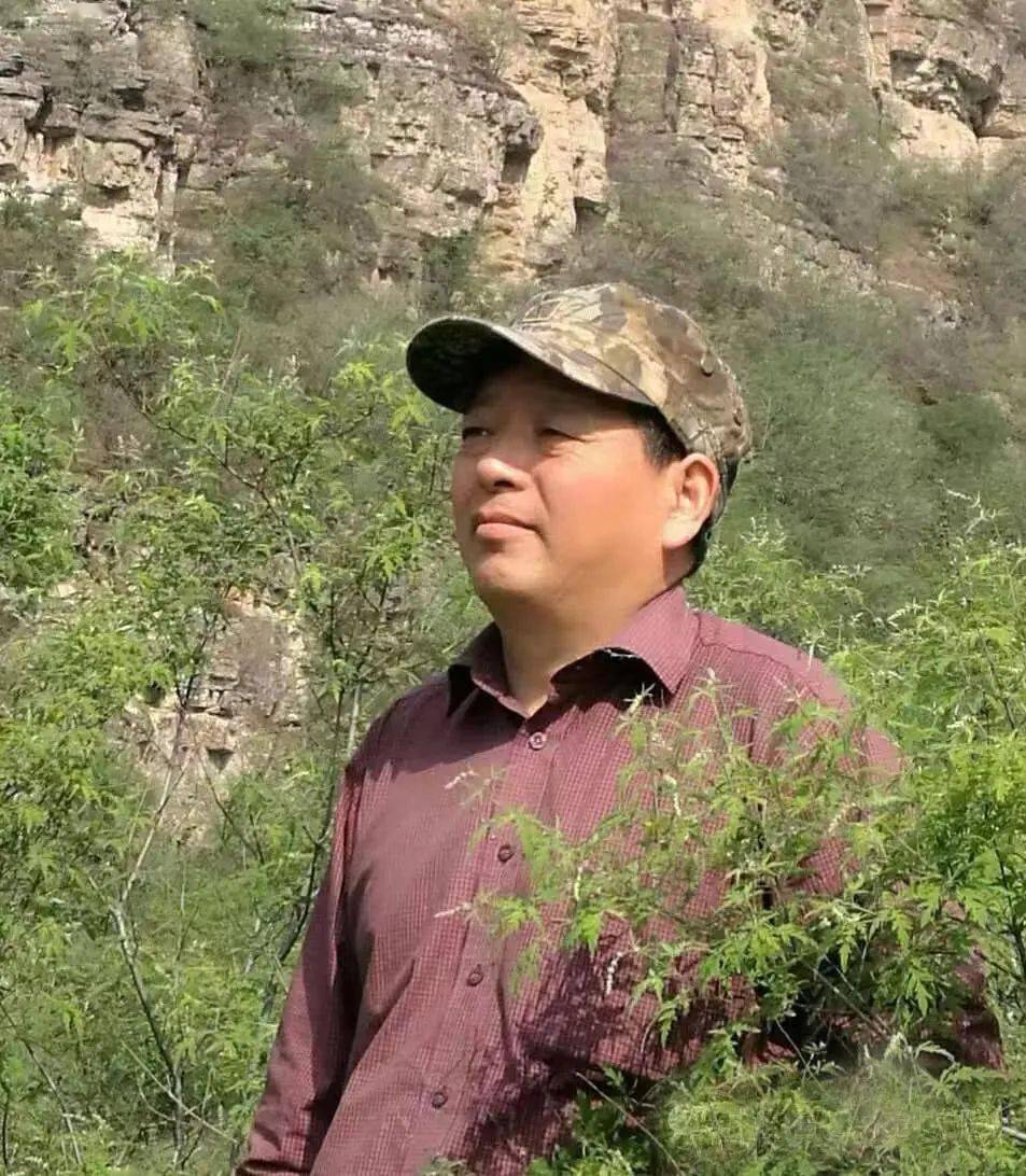 花好月圆迎丰年——中原书画第911期_cm_中国_全国