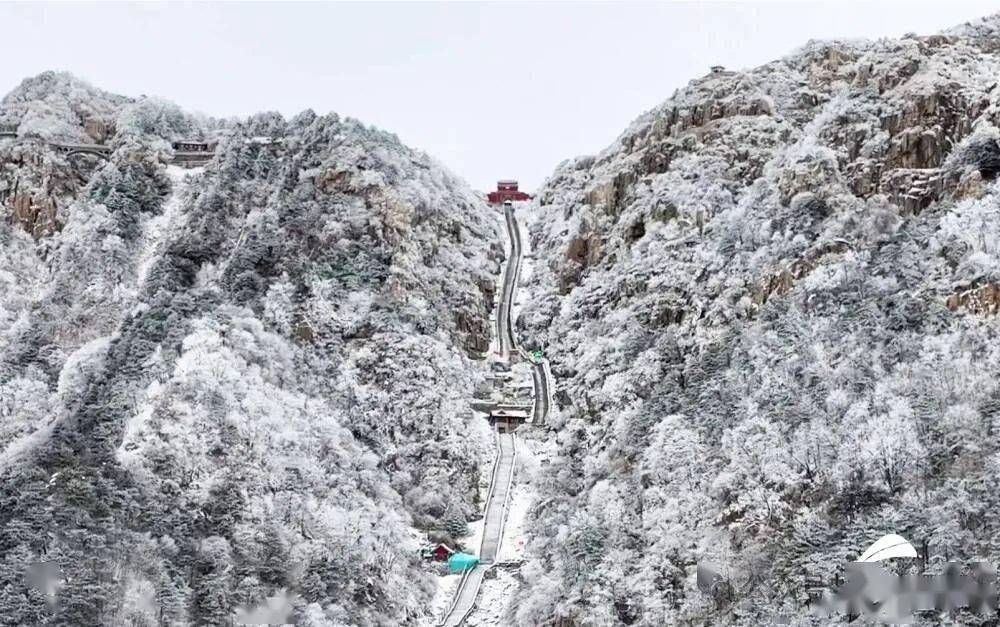 诗画山东丨雪后泰山十八盘 一路繁花相迎