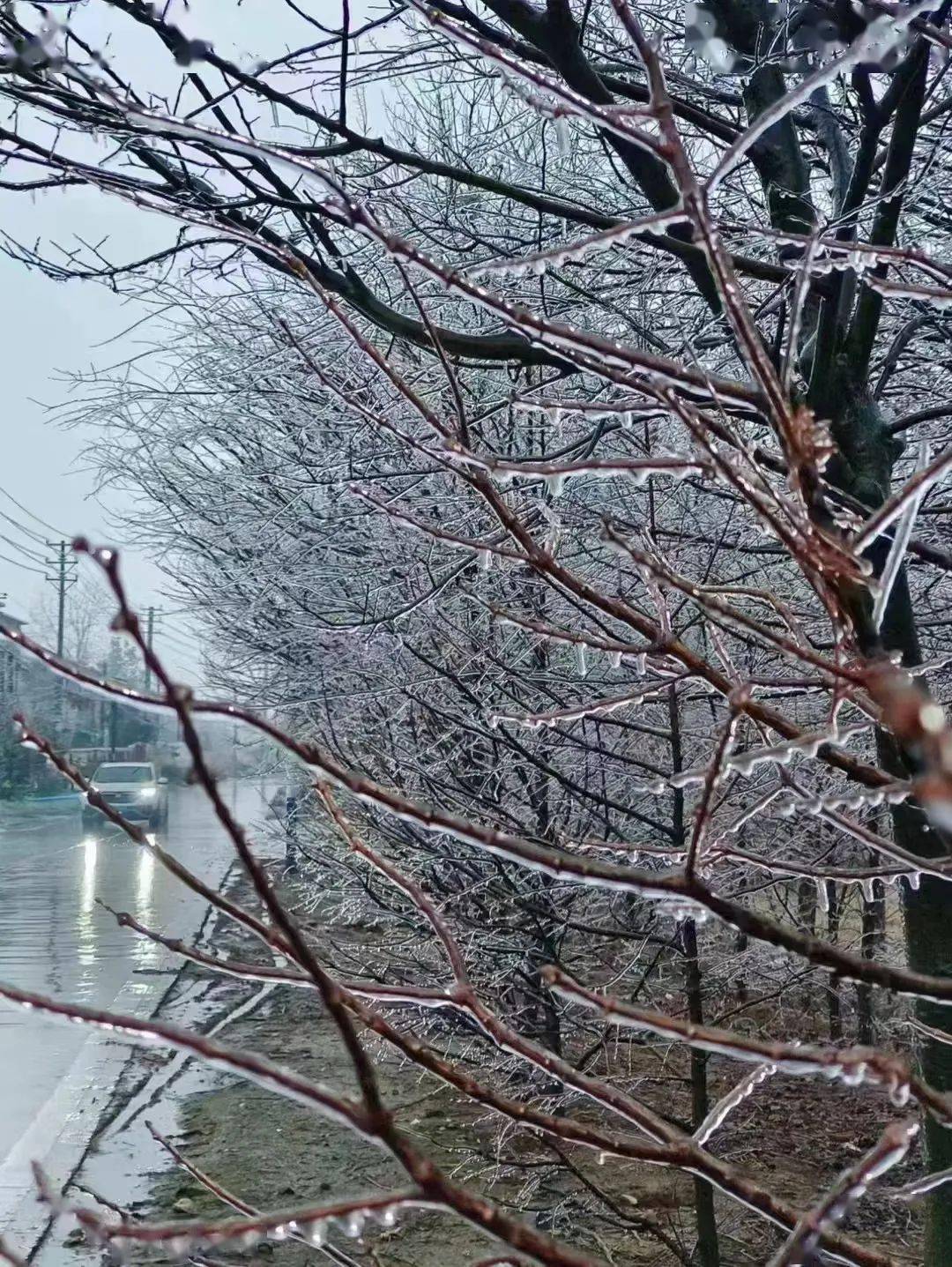 何时结束?_全省_雨雪_冻雨