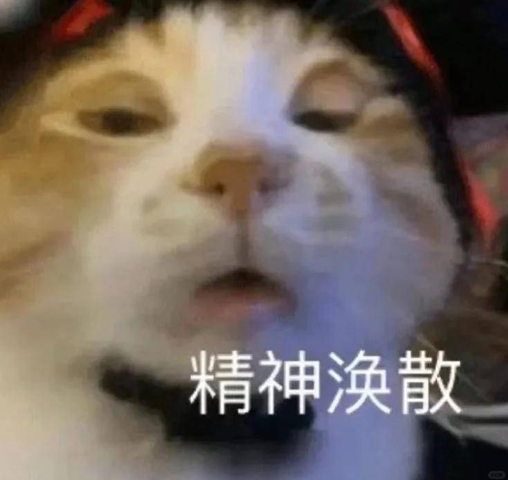 图 | sober-017赶due,每一个留子的必经之路,最可怕的是遇上due