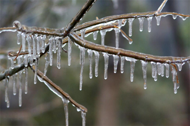 【降水地理】一文让你弄清人工增雨的那些事儿,降水形态11种 | 雨