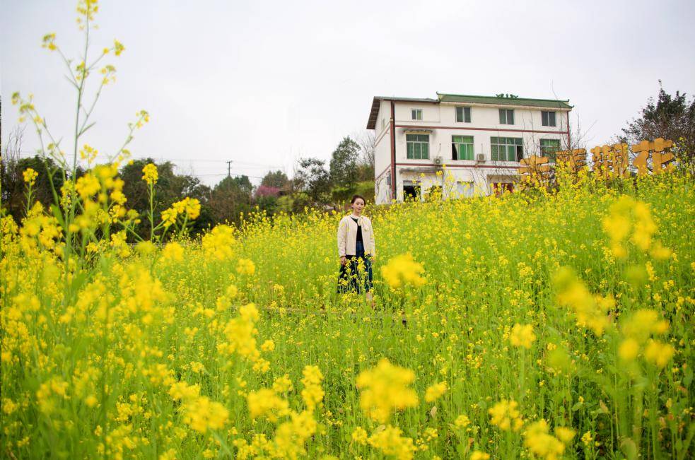"走马观花"已上线!_重庆_走马镇_科学城