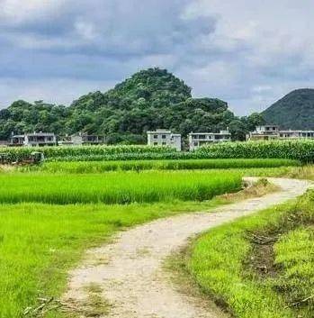 走在乡间小路(优美散文)_故乡_村庄_田野
