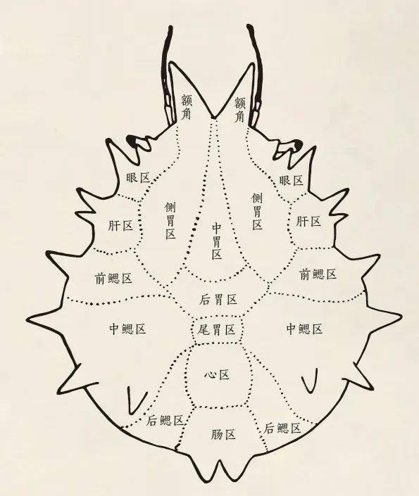 中信出版的这套看家礼盒