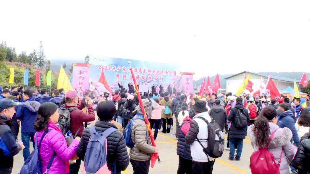 万亩桃花开 八方宾客共赴"醉美"春日盛宴_旅游_上坪镇_活动