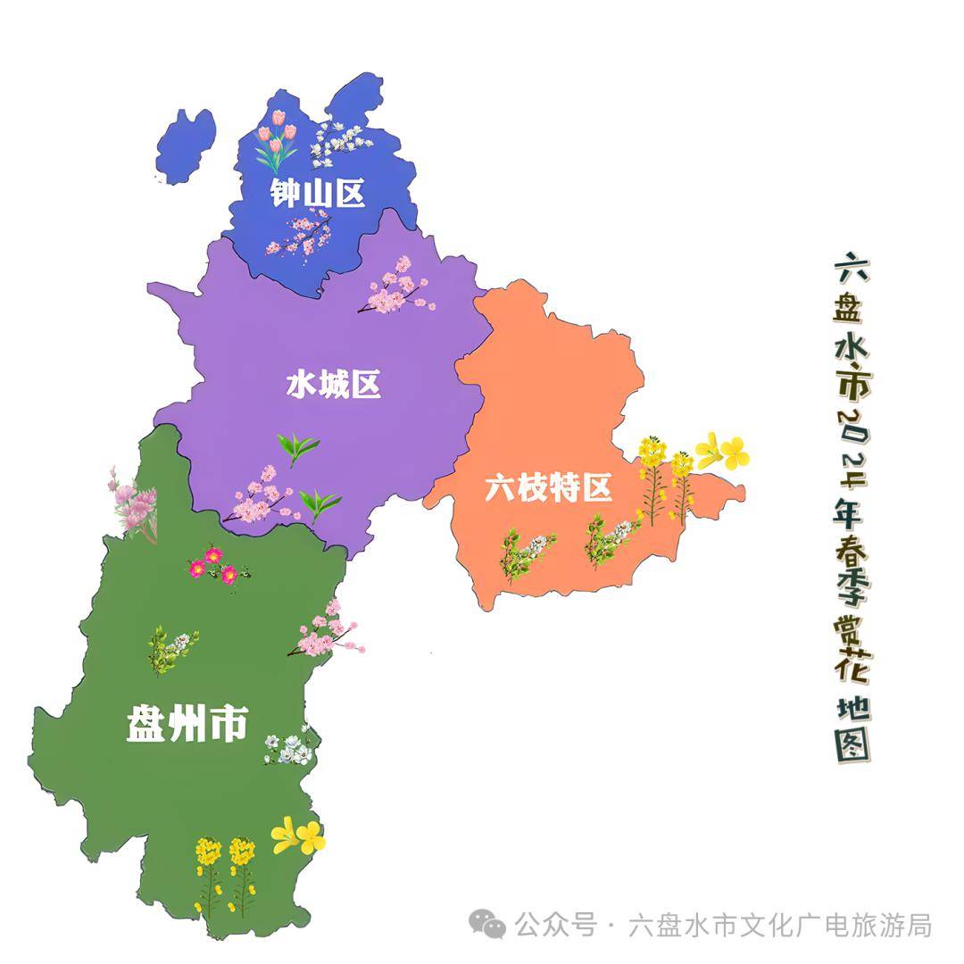 近期,你和六盘水春天有个浪漫约会!