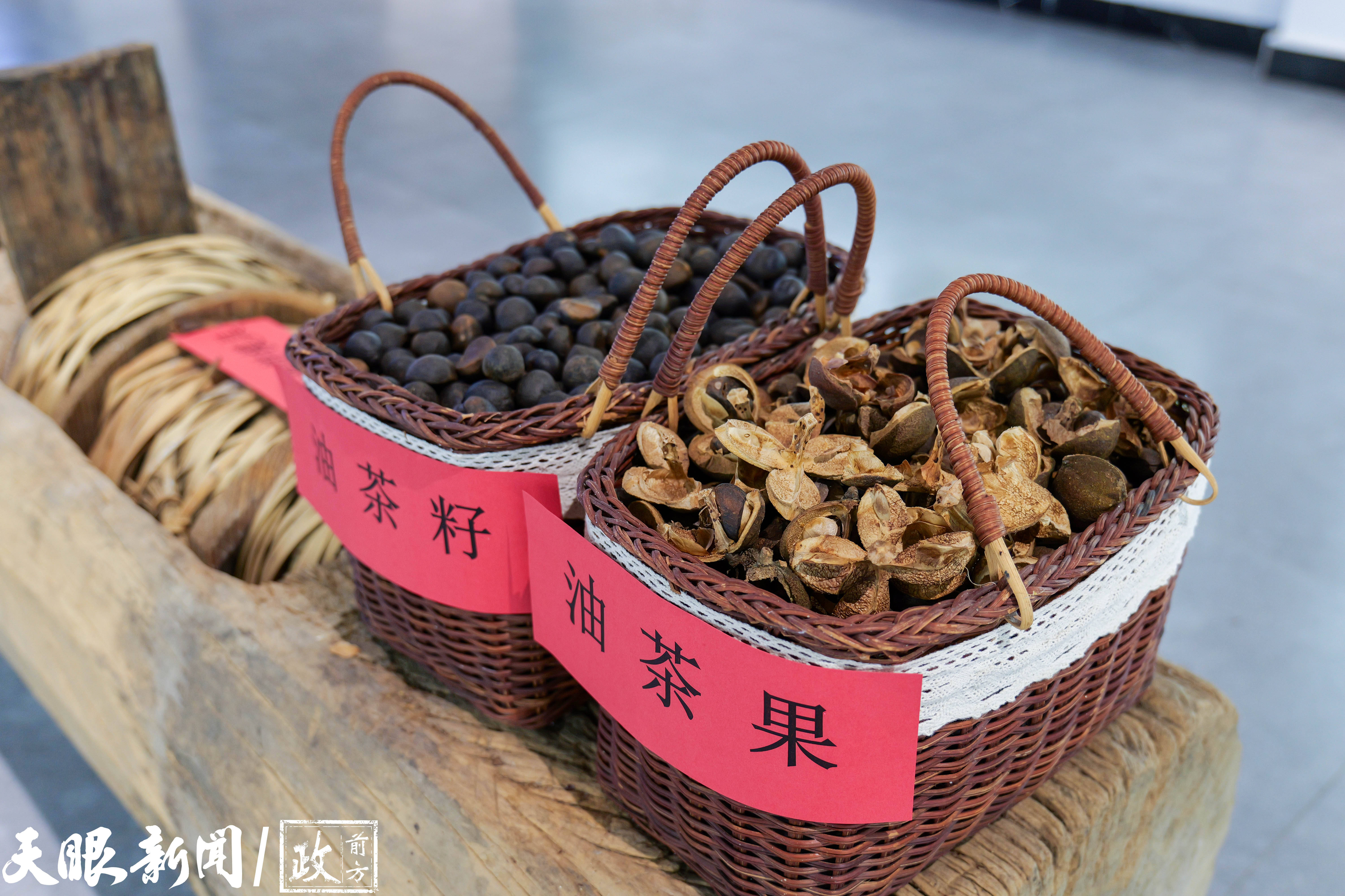 "四新""四化"微镜头|油茶的春天_生产_册亨县_潘德