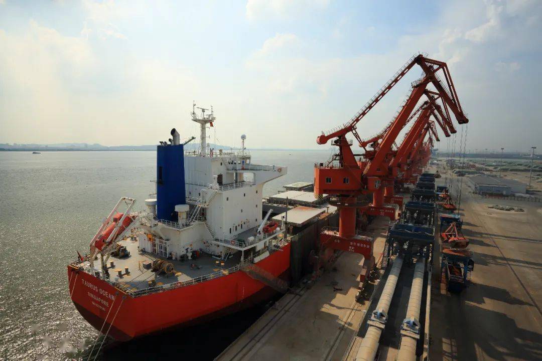 9亿元!麻涌港区散粮仓库三期即将扩建_东莞_深赤湾_码头