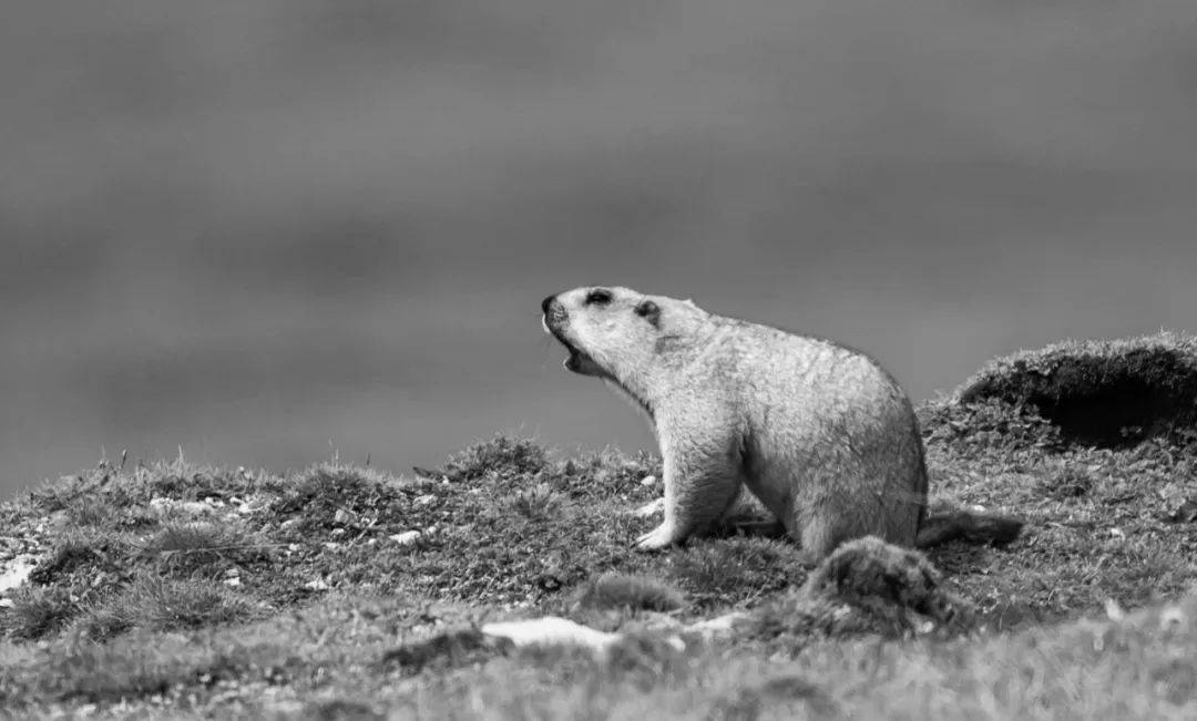 控制_中国_地区