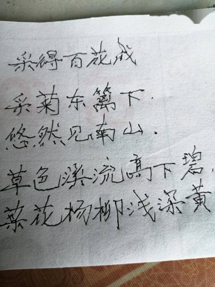 【深度报道】对抗衰老的上海老人,写下6000多篇日记_范先生_生活_老年