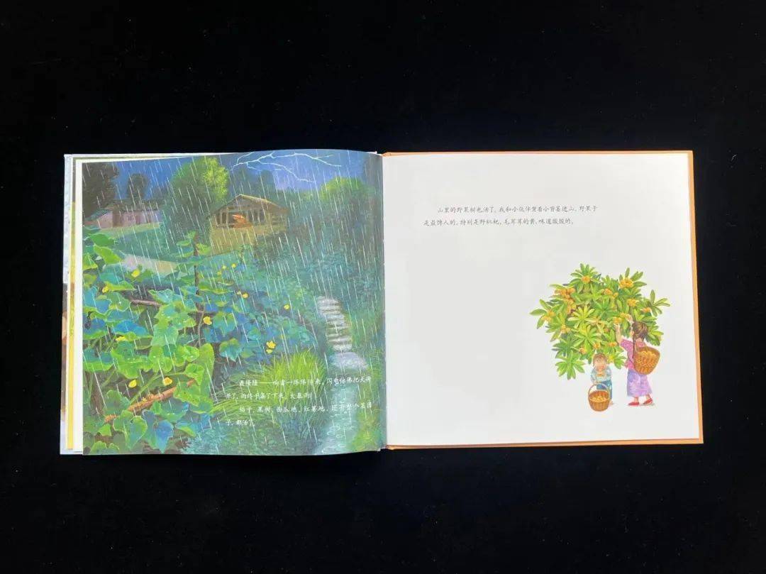 触动心弦的好书,好评无数!_孩子_生活_文字