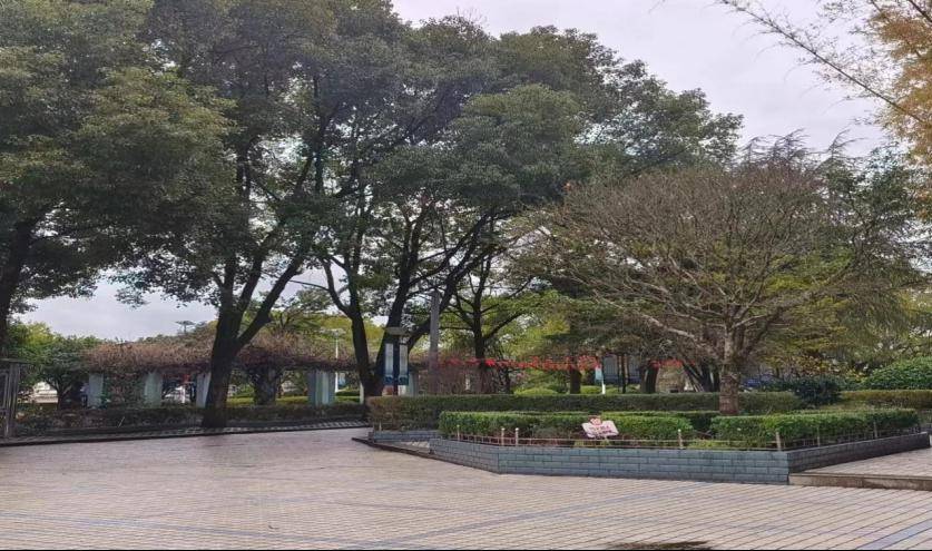 感恩母校行(125)| 走进浙江省天台平桥中学_活动_高三_工作