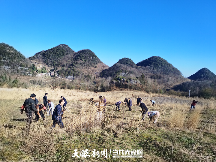 大方县雨冲乡开展2024年义务植树活动_建设_树苗_生态