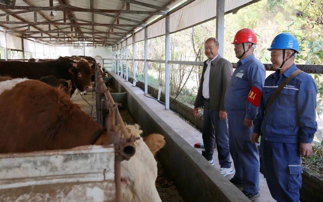 永仁县开展2024年电力安全监管督查工作,南方电网楚雄永仁供电局全力