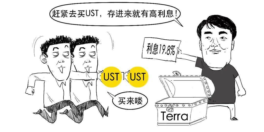 20余万投资人为何血本无归?_价格_市场_terra