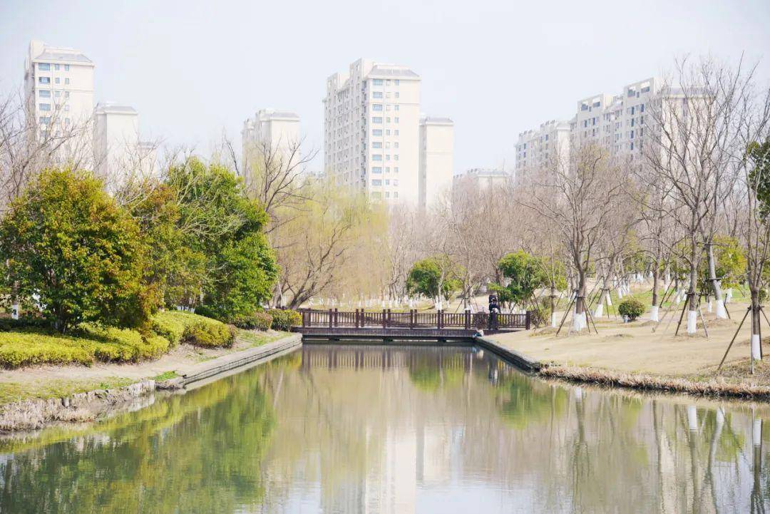 来九亭这些户外健身场地运动吧!_绿地_公园_地址