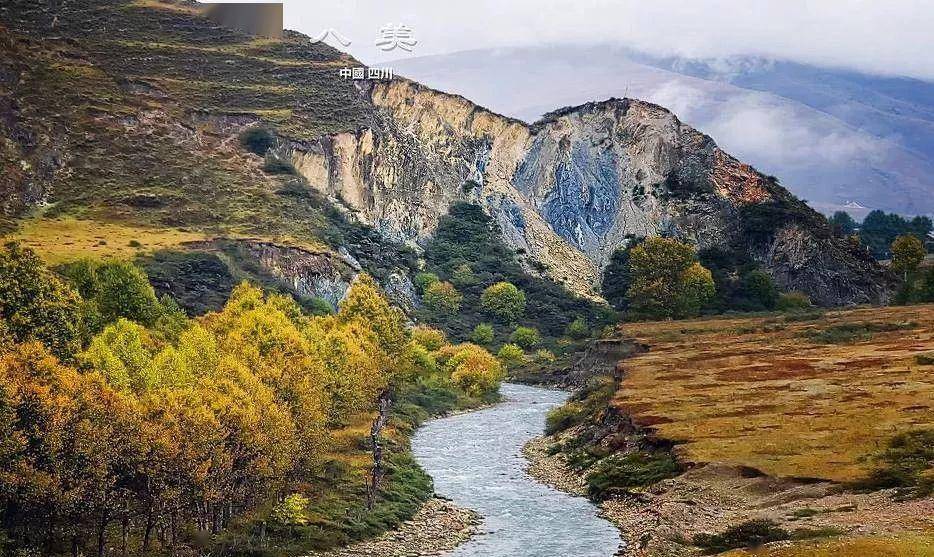 白鹿望天,有的似猛虎下山,猕猴酣睡,石柱,石笋,石蘑菇,石莲花千姿百态