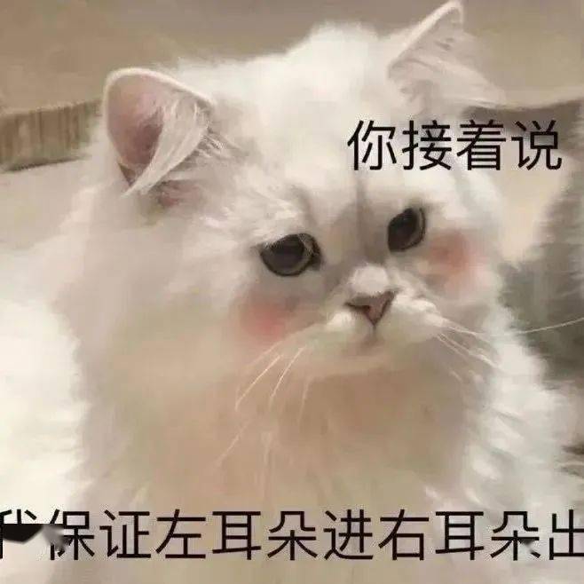 奇奇怪怪的表情包_微信_方法_相册