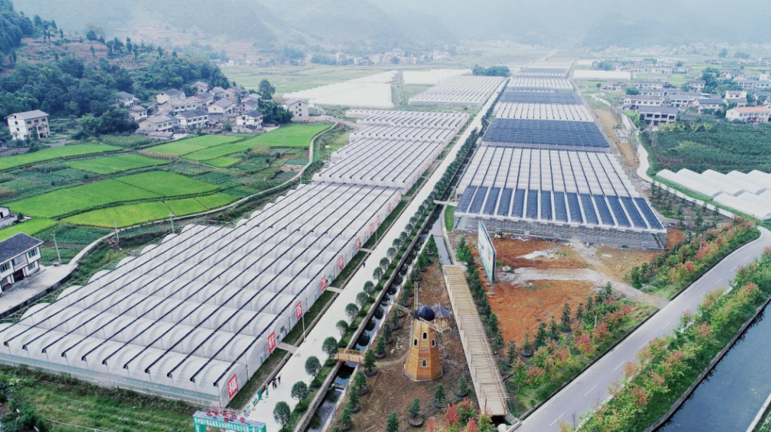 陈灿调研督导复工复产,安全生产,春耕备耕等工作_发展_农业_企业