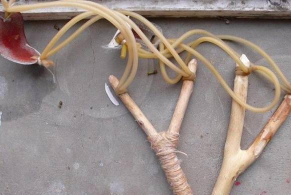 能看懂这些东西的人都老了!_年代_人民币_几类