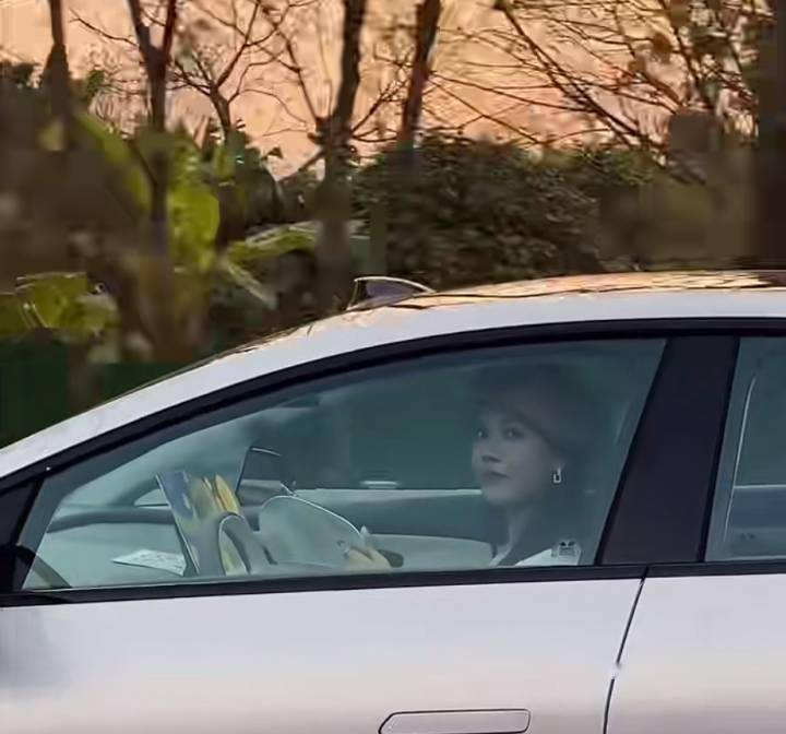 美女边开车边画画?昊铂汽车涉嫌过度宣传_搜狐汽车_搜狐网