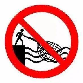 3月1日起,云和景宁全面禁止_水库_大坝_大桥