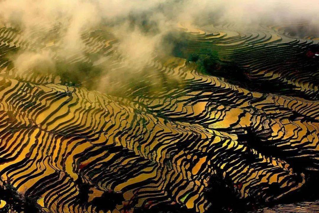 东川红土地 元阳哈尼梯田 罗平油菜花 普者黑 世外桃源坝美 建水古城