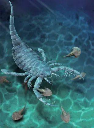 除了丁氏甲鳞鱼外,这里还居住着钝齿宏颌鱼,长孔盾鱼,梦幻鬼鱼,云南