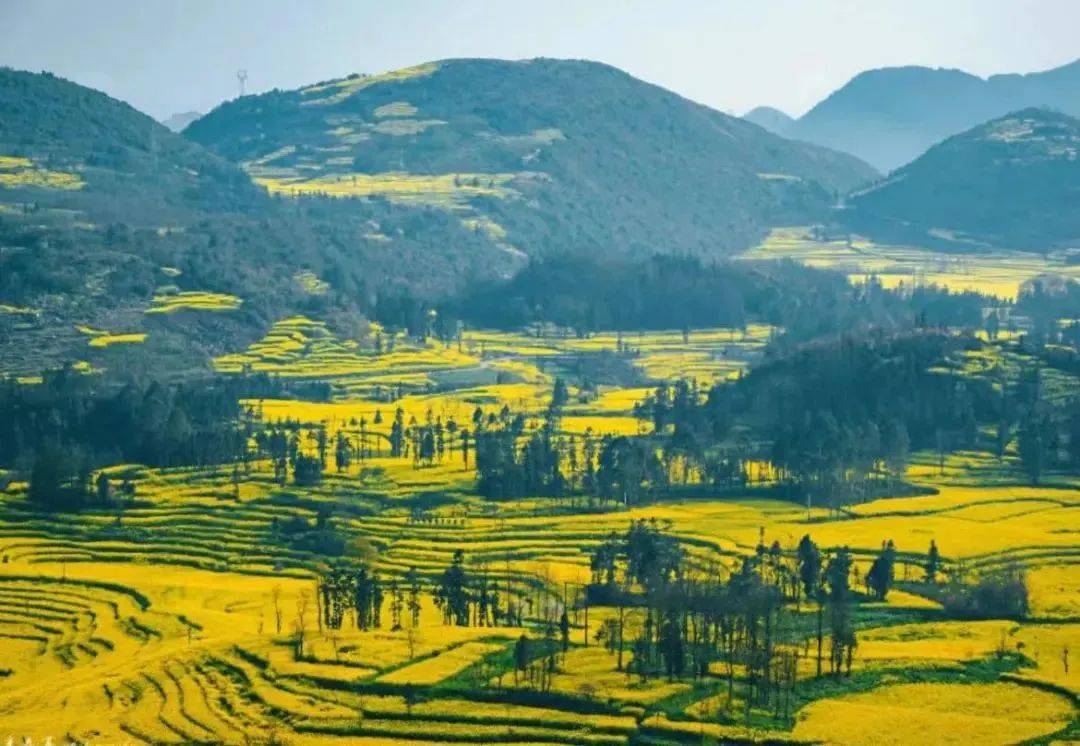 国内最早"上春山"的绝美避世小城!花海惊艳外网!_曲靖_油菜花_瀑布群