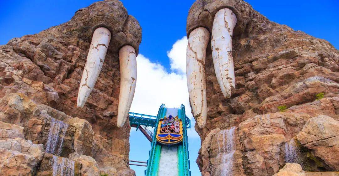 67【国旅自组】67春日来长隆 61 宠你有花招