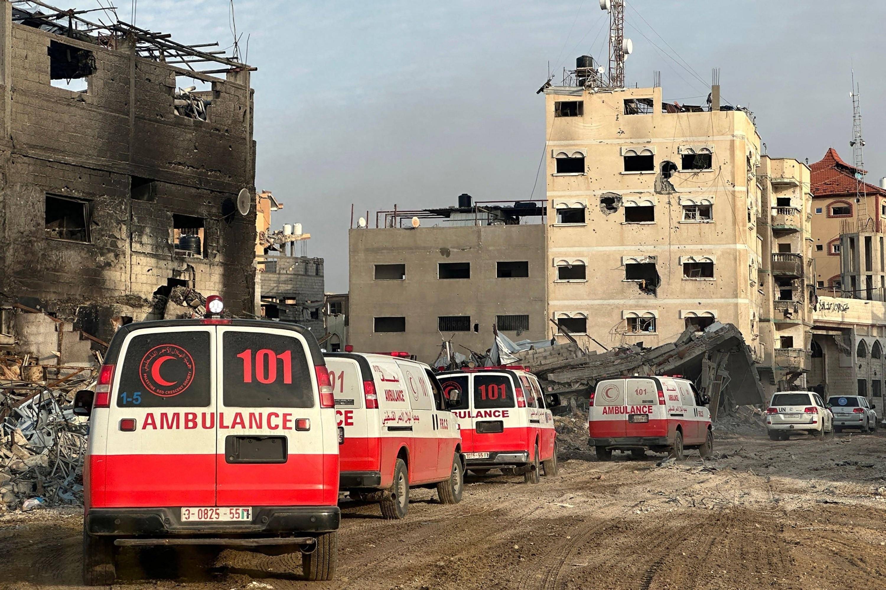加沙地带停火协议带来短暂平静，但仍面临多重挑战_生活_民众_冲突