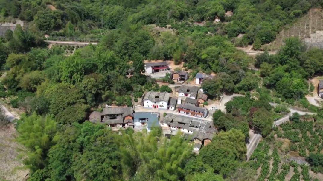 【聚焦"百千万工程"】青溪镇蕉坑村:扎实推进宜居宜业和美乡村建设