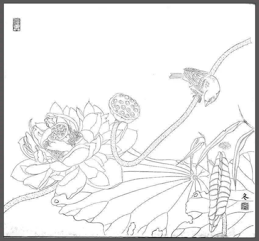 工笔荷花白描画谱120幅