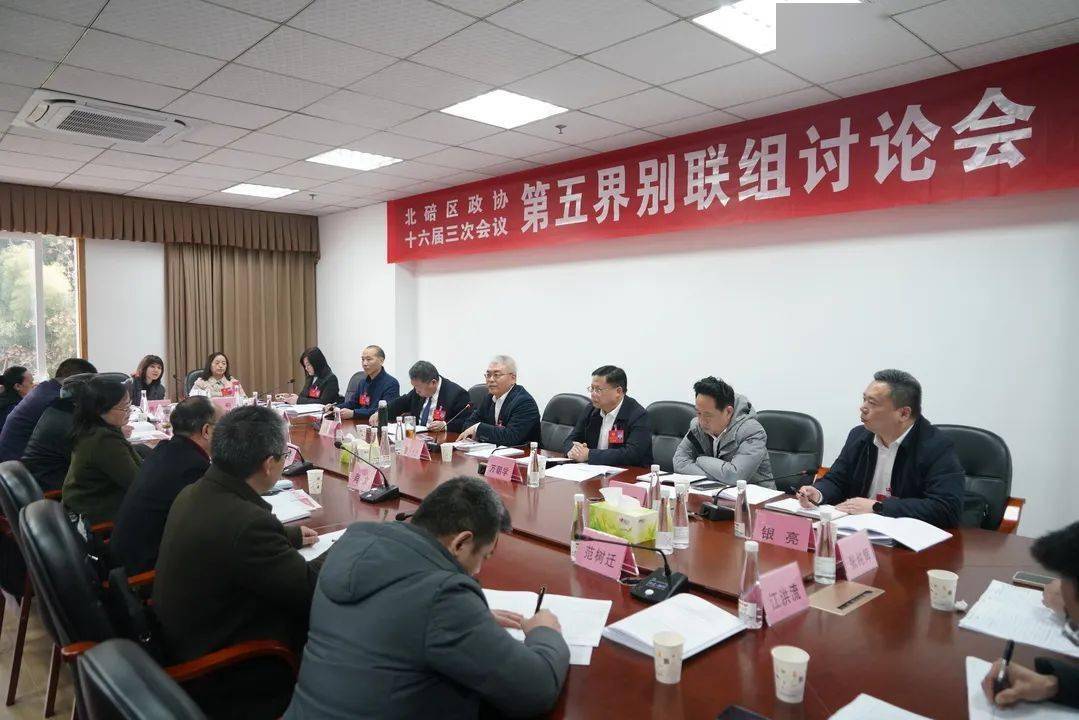董伦参加区政协十六届三次会议委员联组讨论_发展_全区_工作