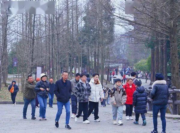 估计印象最深的除了武陵源的山,应该就是山上长满的韩国人了