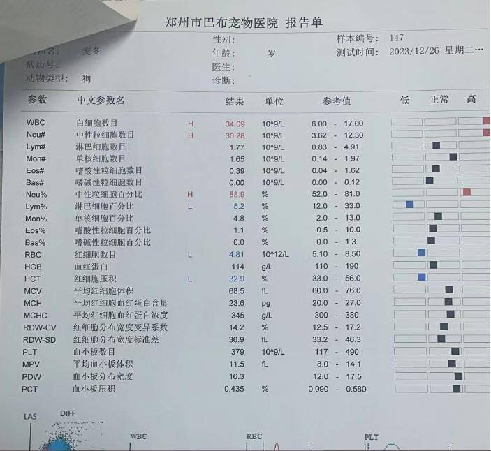 是手术导致还是另有原因?_治疗_腰椎_进行