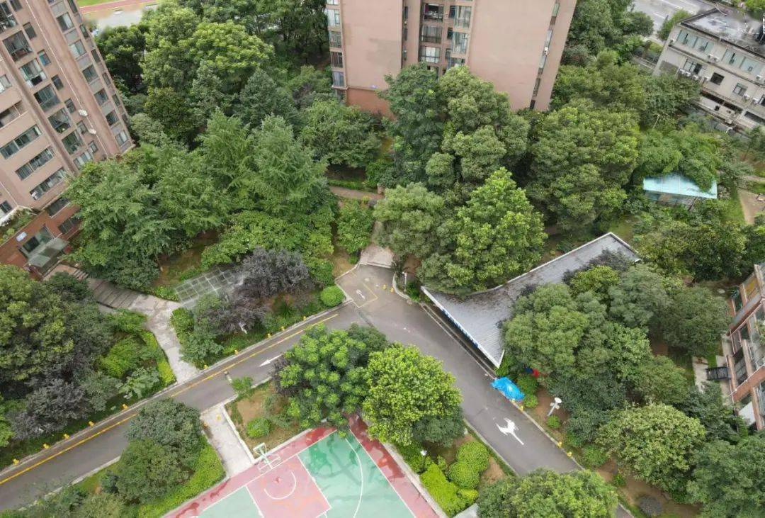 10.碧桂园豪庭11.智禧湾12.