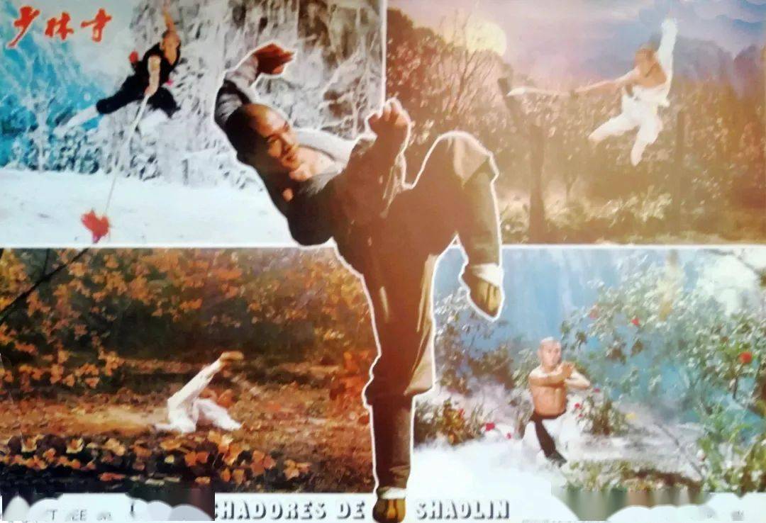 李连杰,已交代身后事_武术_少林寺_张鑫炎