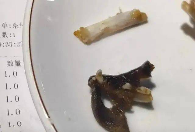 顾客疑在干锅兔肉中吃出猫头,餐厅回应引质疑_牙齿_相关_事件