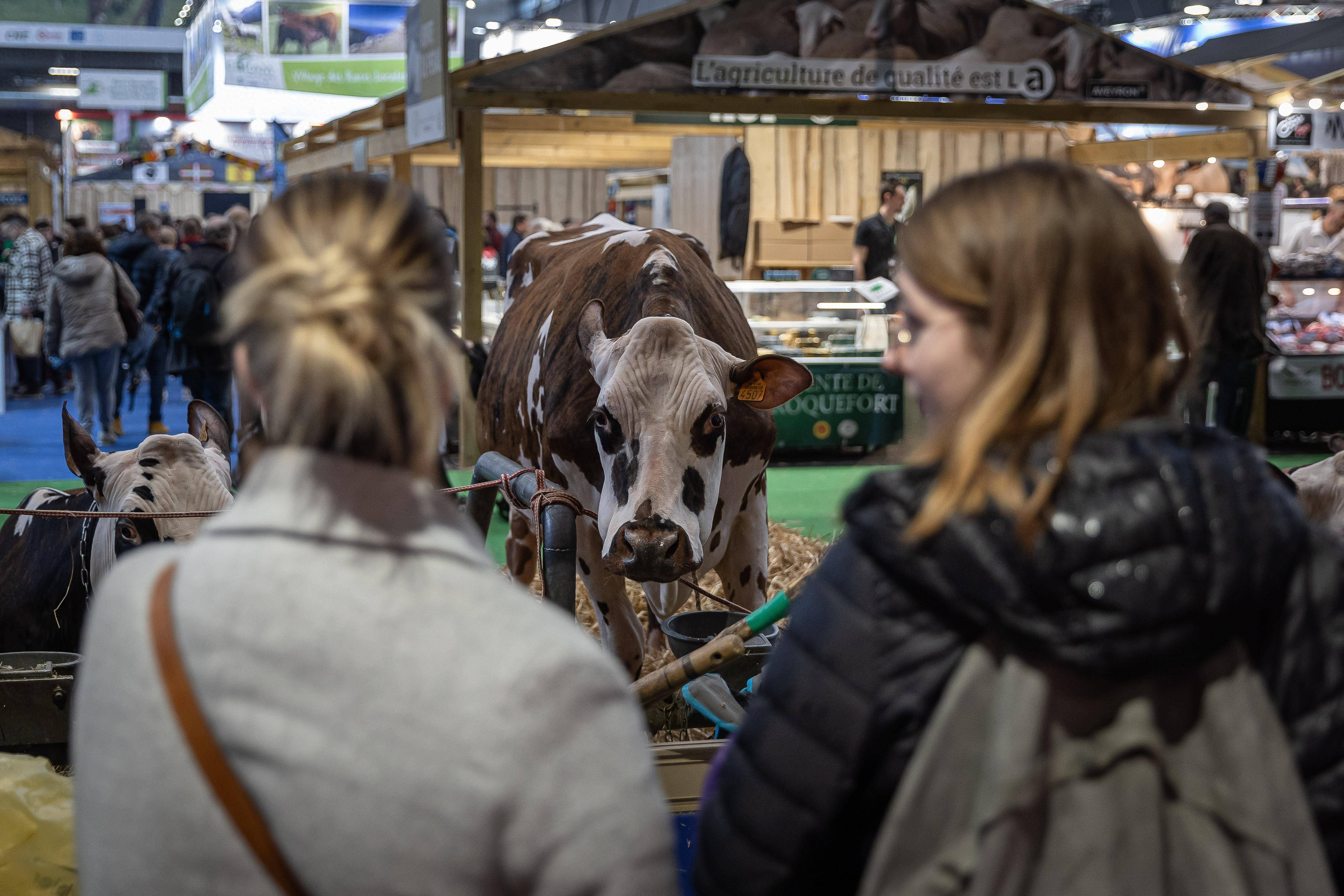 法国巴黎国际农业展览会