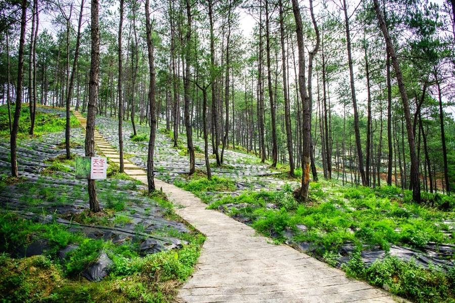 【高质量发展蹲点调研采访】林海生金 绿富同兴