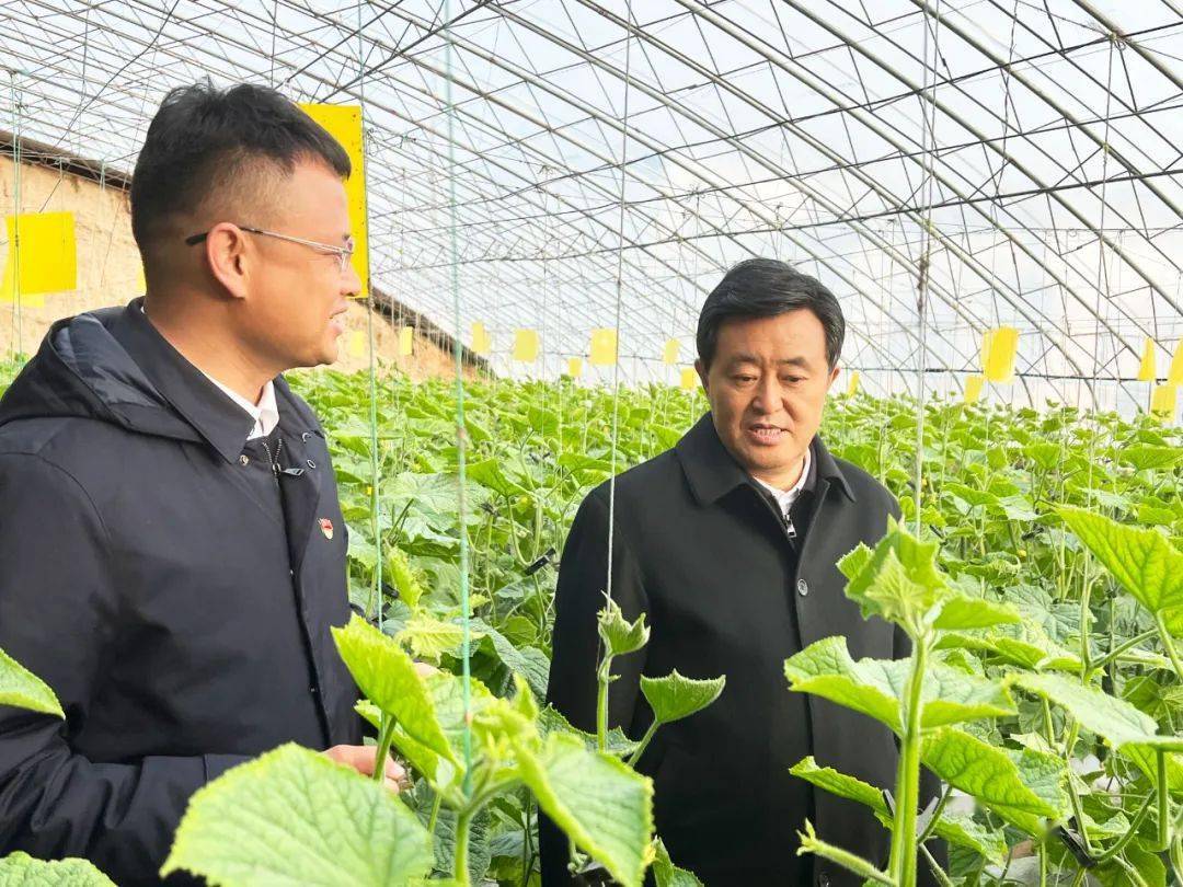 贺伟华深入临河区调研指导春耕备耕和高标准农田建设等工作_发展_情况