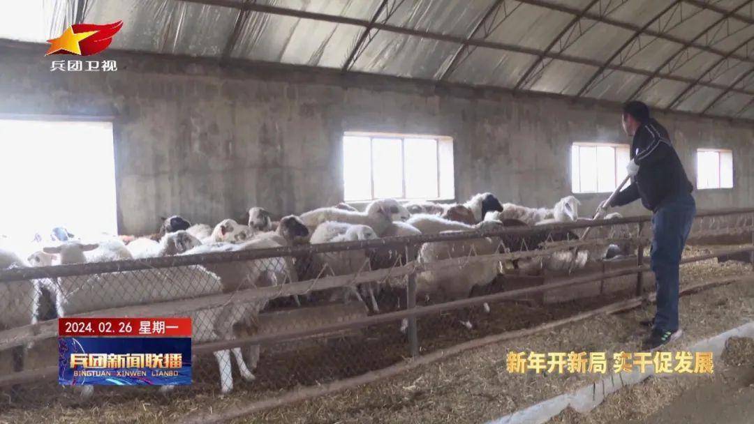 第五师双河市:以实干绘就乡村全面振兴新画卷_农业_兵团党委_连队