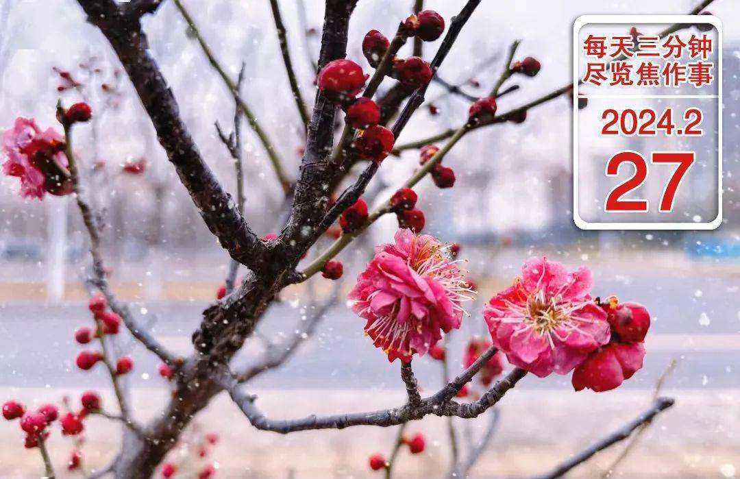 2月27日焦作热点新闻丨今年焦作市计划新建5所,改扩
