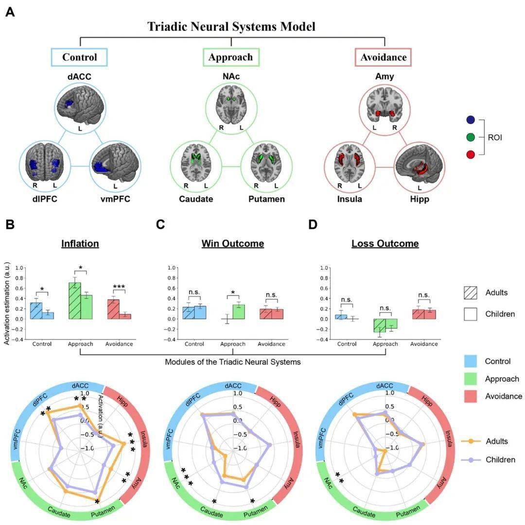 儿童情感-奖赏-认知控制三元神经系统发育的异质性_风