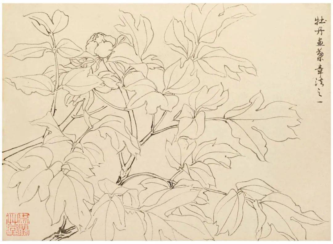 陆抑非先生教学示范作品之白描画稿_浙江省_古人_初稿