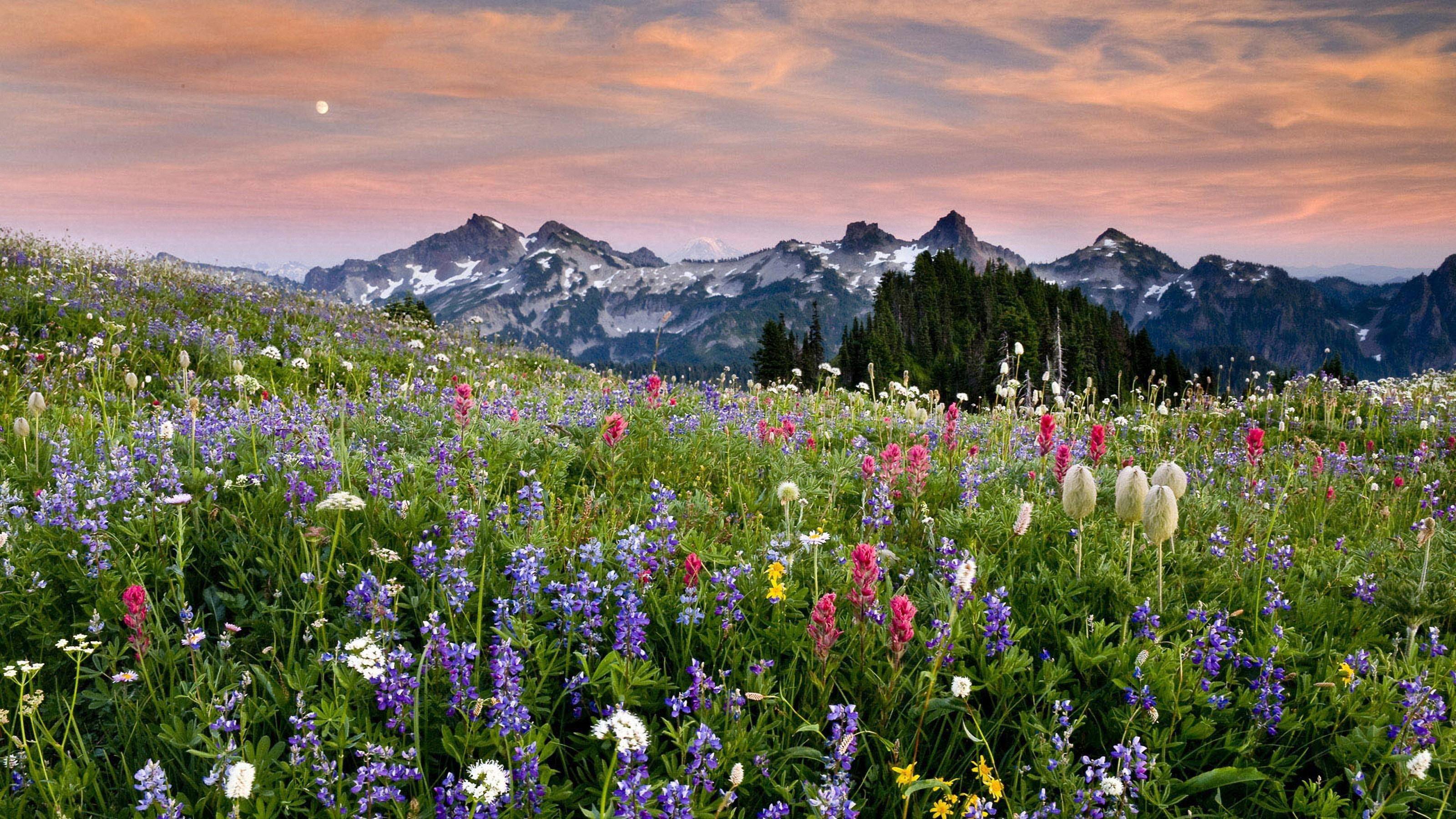 "男人无能,一看便知":没出息的男人四大特征_生活_男性_心态